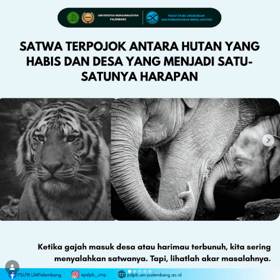 SATWA TERPOJOK ANTARA HUTAN YANG HABIS DAN DESA YANG MENJADI SATU-SATUNYA HARAPAN